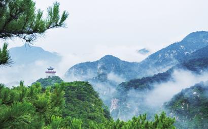 小企鹅逃生